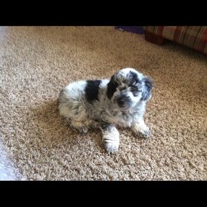 Meet your Posher, Michelle